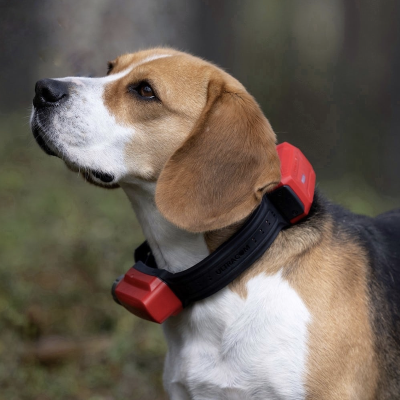 TRACKER R10i HYBRID COLLIER GPS DE REPERAGE CHIEN DE CHASSE