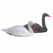   CYGNE BLANC SPORT PLAST - OISEAU D' ORNEMENT