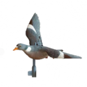 APPELANT CAROUSSEL PIGEON RAMIER SPORT PLAST 