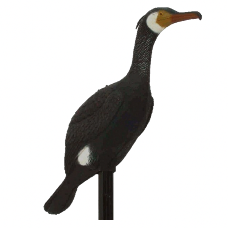 APPELANTS OISEAUX ET ESPCES DIVERSES
