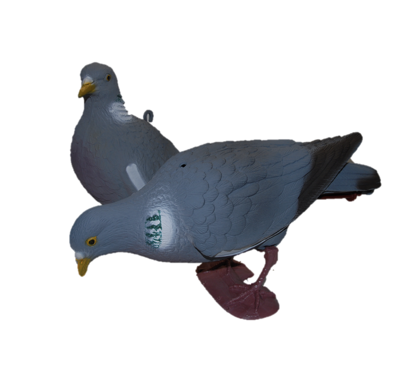 APPELANTS PIGEONS