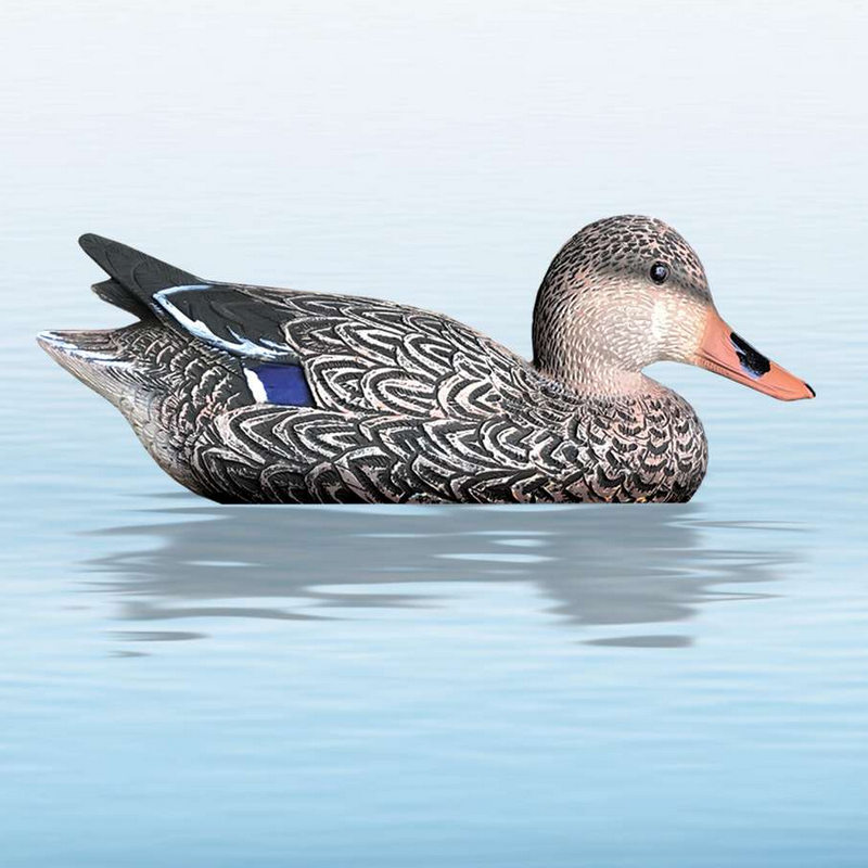 APPELANT CANARD COLVERT SPORT PLAST