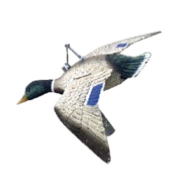 2 APPELANTS CARROUSEL - CANARD COLVERT SPORT PLAST