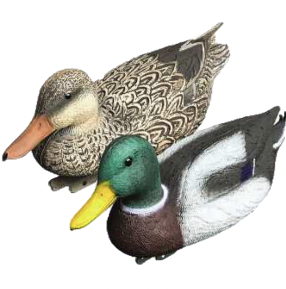 APPELANTS CANARDS